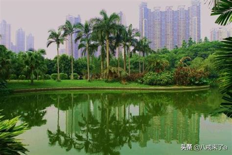 广州天河公园图片欣赏68555-U途旅游网