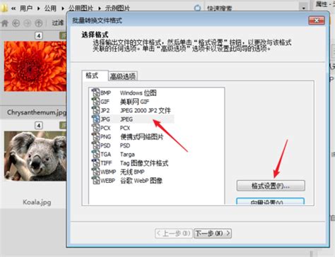 acdsee3.1历史版本下载-acdsee3.1中文版官方版 - 极光下载站