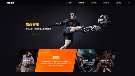 体育运动品牌营销计划书PPT__商务|科技_PPT_多媒体图库_昵图网nipic.com