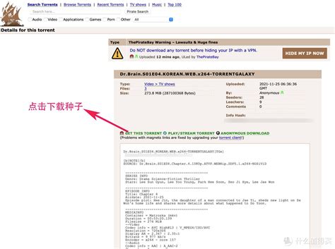 Seo网页表示搜索引擎3d种子高清图片下载-正版图片306981958-摄图网