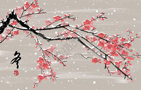 寒梅傲雪图片