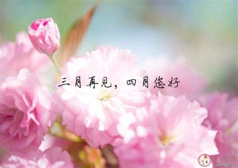 三月再见大全图片