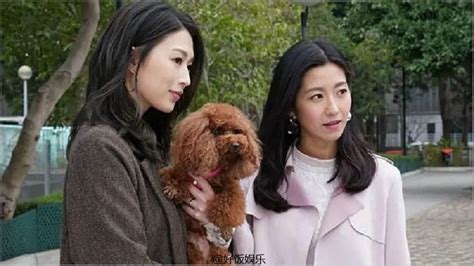 中国最被低估的女演员：拍禁片，两度离婚，42岁成为单身母亲__凤凰网