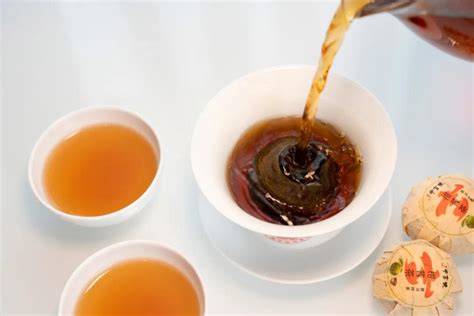 古树普洱茶中熟茶的优势在哪些方面|普洱茶百科 - 中吉号官网