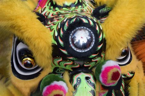 狮王,舞狮服装,狮子舞蹈,中国功夫,演出服,表演艺术活动,传统服装,灵性,平衡,狮子,摄影素材,汇图网www.huitu.com