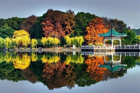 俯瞰武汉东湖湖心岛高清图片下载-正版图片500915501-摄图网