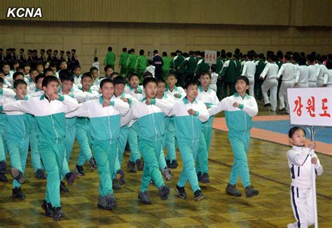 朝鲜庆祝建国70周年上演万人团体操 "辉煌的祖国"首次公演