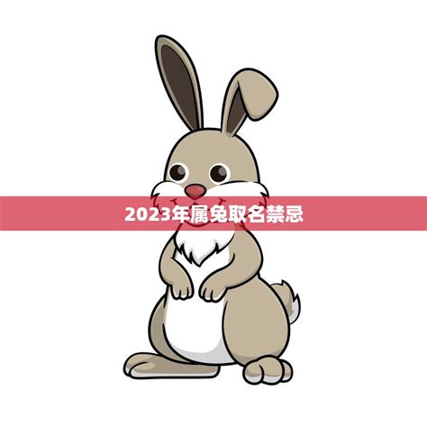 2023年属兔取名禁忌(如何为你的兔宝宝取名)