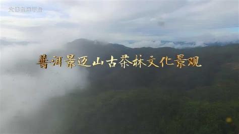 普洱景迈山古茶林文化景观申遗专题片_腾讯视频