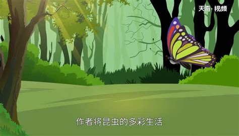 昆虫记|插画|儿童插画|晓茑_原创作品-站酷ZCOOL