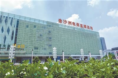 广州日报数字报-金沙洲电商直播基地启用