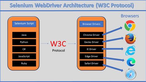 Selenium WebDriver and TestNG: Find Perfect Match for Automation ...
