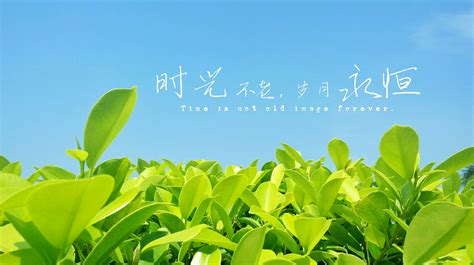 墨染流年图片