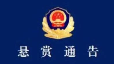 涉疫大巴侧翻致27死 贵州省长:彻查 基本情况讲解_华夏智能网