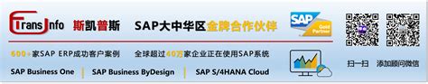SAP ERP售后支持服务_TransInfo售后技术维护