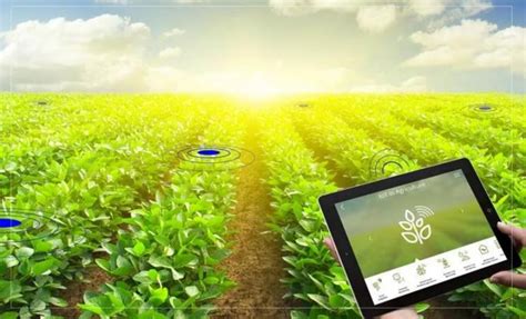智慧农业大棚解决方案-山东遨卓信息-专注为企业级用户提供专业的产品和服务
