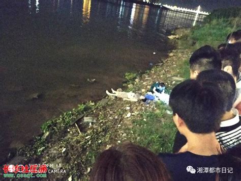温州一女子河中央抱竹竿求救，队员来不及脱衣跳水营救_凤凰网视频_凤凰网