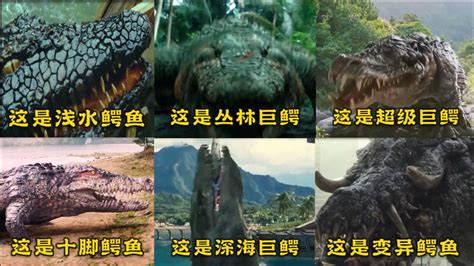 影视中的这六大鳄鱼，你觉得哪个最厉害，深海巨鳄太凶猛了一口一个！