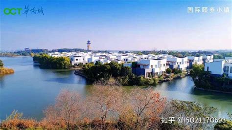 姜堰绿色长廊：周山河、通扬河林场_聚焦泰州