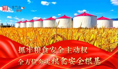 中国的粮食安全白皮书解读党建党课党政PPT模板-赞芽PPT