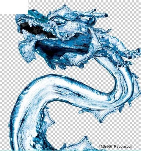 水龙图片