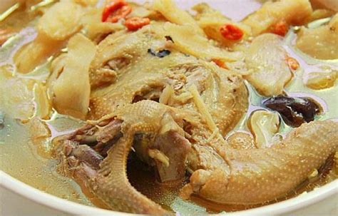 【鸽子黄芪党参炖汤的做法步骤图，怎么做好吃】乌龙茶_996_下厨房