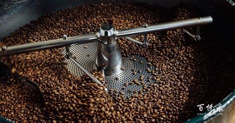 咖啡豆－咖啡奥秘