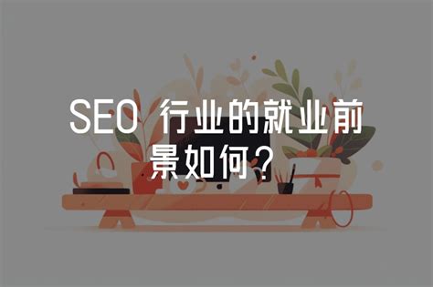 seo网页优化包括哪些内容（这五条才是网站SEO优化的重点）-8848SEO