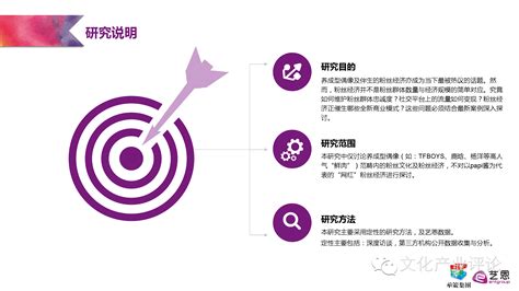 2022年中国粉丝经济研究报告