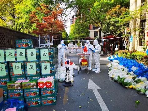 蔬菜到家，社区志愿者接力做好物资“最后500米”配送_宝山动态_上海市宝山区人民政府
