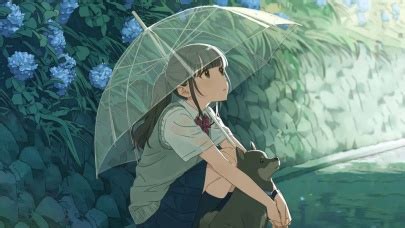 雨中少女和猫撑伞动漫雨中撑伞的黑发女孩动漫2022已更新今日动态