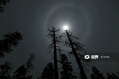 森林与月晕 图片 | 轩视界