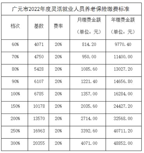 广元市2022年度灵活就业人员养老保险缴费标准（档次）
