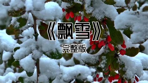 《飘雪》完整版_高清1080P在线观看平台_腾讯视频