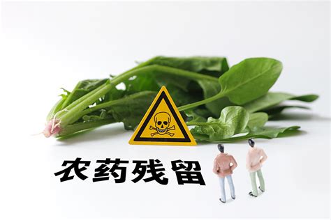 韭菜农药残留国标为何放宽25倍|食品安全|国标_新浪新闻