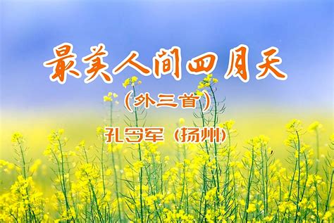最美人间四月天（外3首）孔令军（扬州） - 南京诗词学会