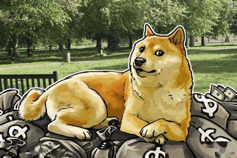 一元钱狗图片