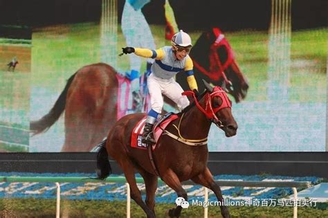 日本赛马冠军马匹取名8个“mo”，主播完美发音火了_凤凰网视频_凤凰网