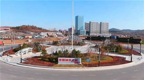 中国工业新闻网_助推企业高质量发展，“大连瓦房店轴承产业开发区经验”成全国样板