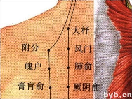 风门的准确位置图图片