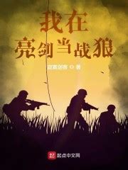 穿越类军事小说有哪些好看的（十大必看穿越军事小说排行榜）-飞扬号