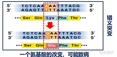 怎样看懂一份基因检测报告：给体细胞突变分个类_临床_肿瘤_变异