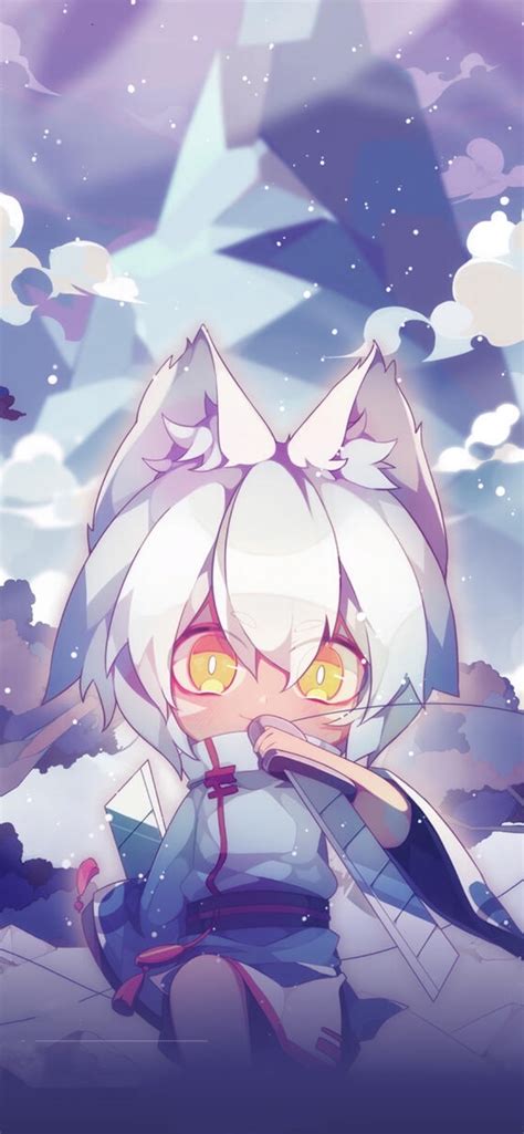 猫之茗图片