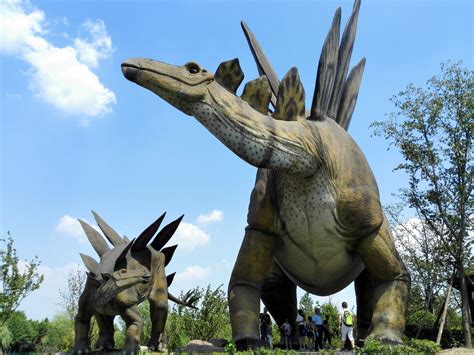 恐龙信息的记录载体——恐龙化石 - 山东诸城恐龙国家地质公园
