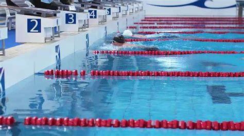 【自由泳教学视频】完美的自由泳