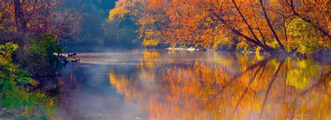秋天的叶子与南瓜隔离在白色秋天的边界高清图片下载-正版图片503200240-摄图网