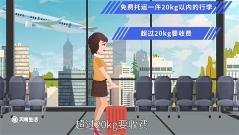 南方航空怎么在官网自助查询行李？（附南航行李服务热线）_深圳之窗