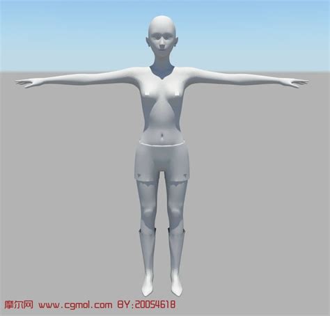 女性基础人体maya模型_基础人体_动画角色_3D模型免费下载_摩尔网