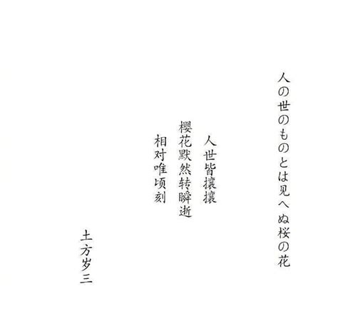 你所不知道的日本俳句之美——风入蹄轻，树下落樱_译文