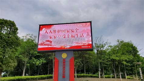 阳新县多措并举开展“4·15”国家安全教育日宣传活动-阳新县人民政府